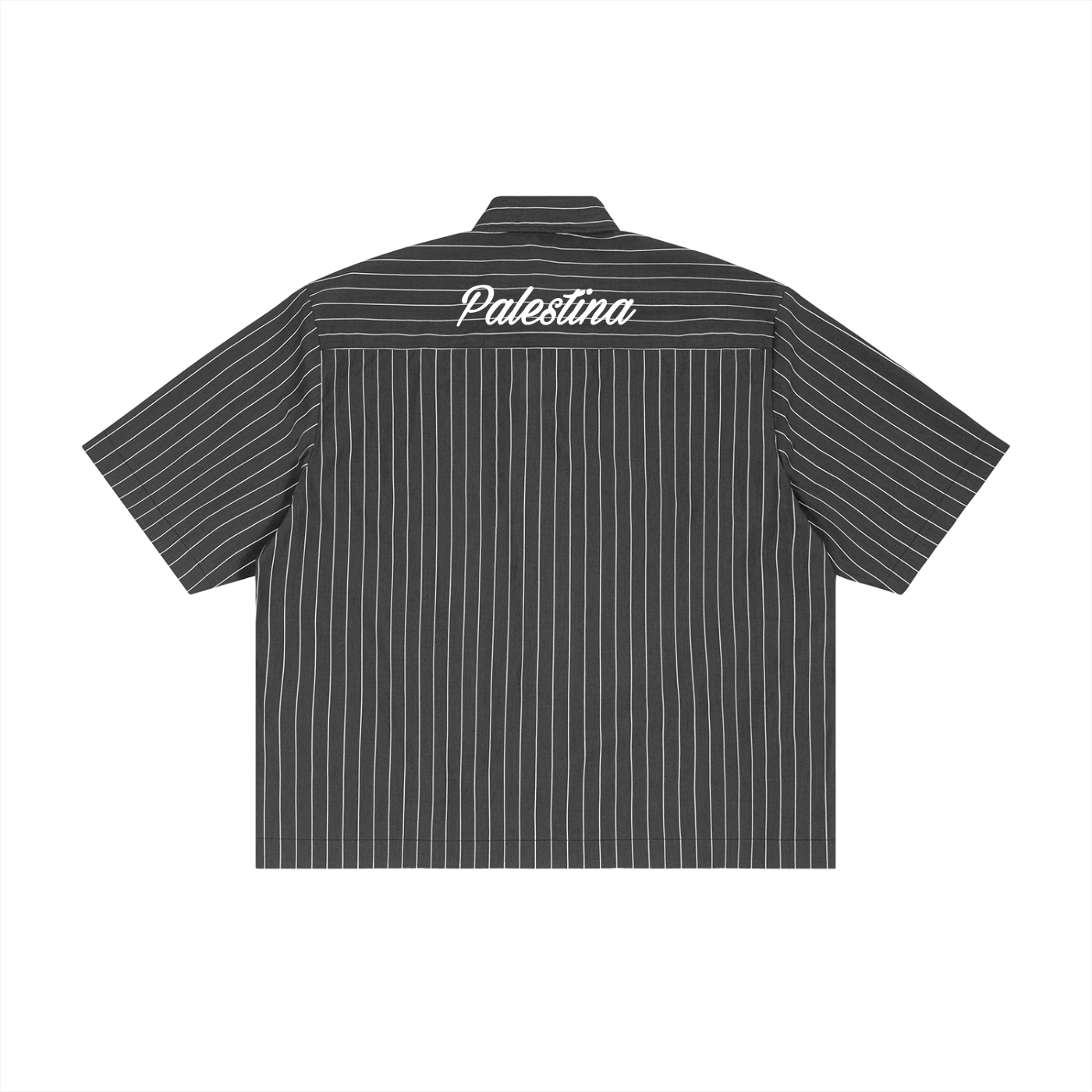 Palestina Boxy Shirt - Beyond The Wall